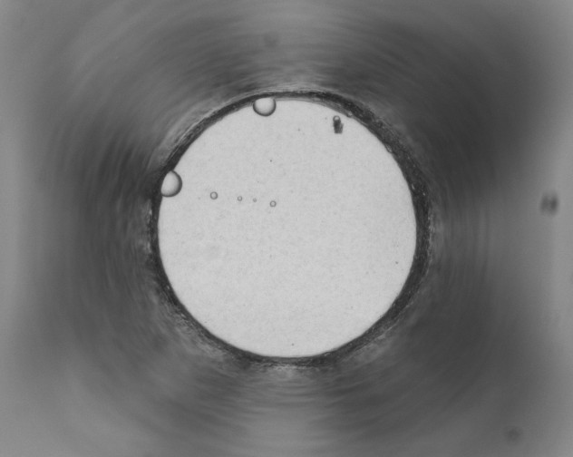 X0000111181265200908121103