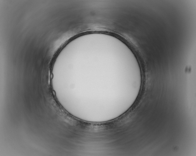 X0000111181269200908121103