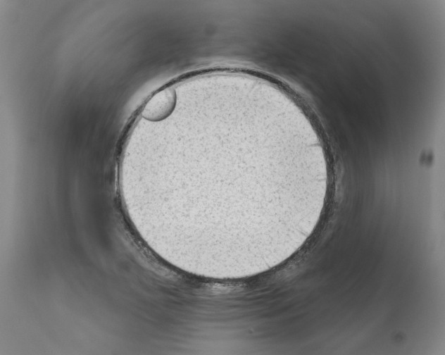 X0000111181271200908121103