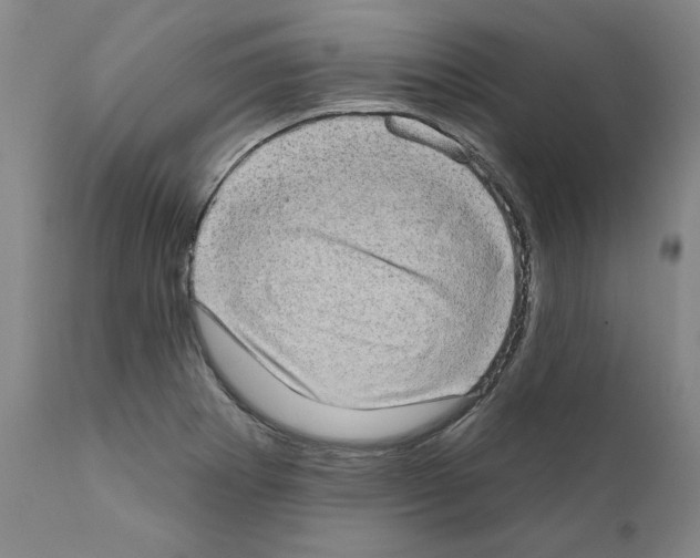 X0000111181273200908121102