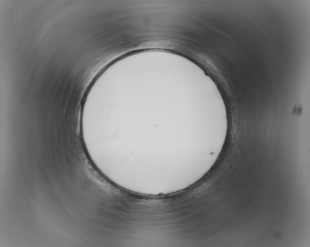 X0000111181276200908121102