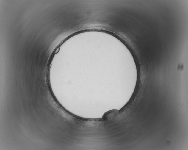 X0000111181277200908121102