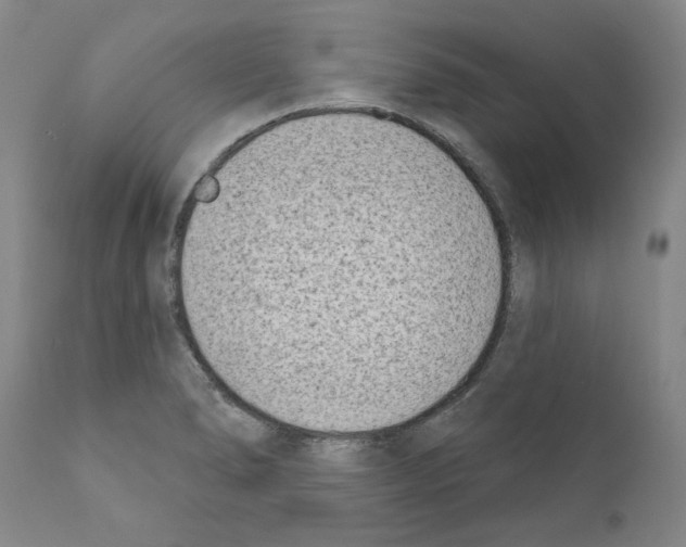 X0000111181278200908121102