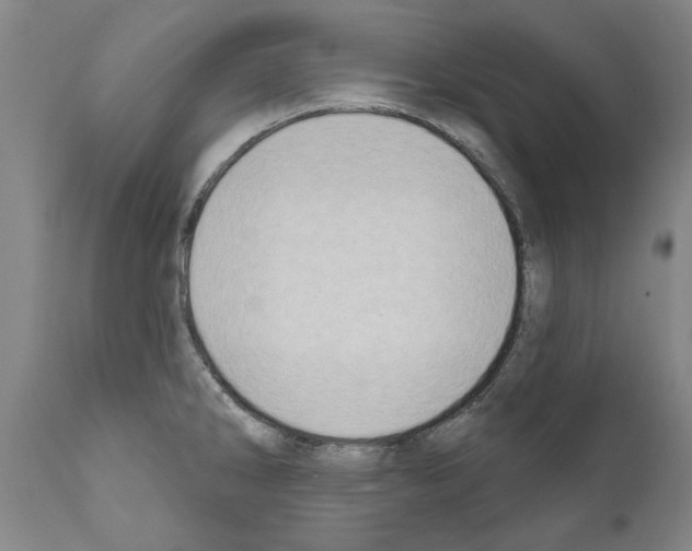 X0000111181286200908121102