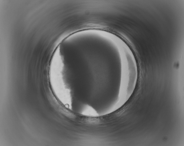 X0000111181291200908121102