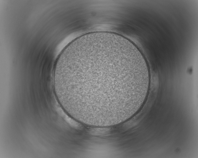 X0000111181294200908121102