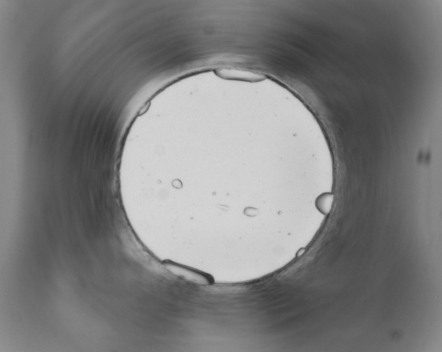 X0000111181296200908121102