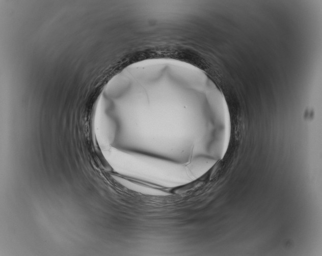 X0000111181298200908121101