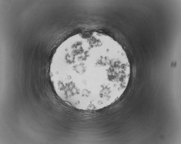 X0000111181300200908121101