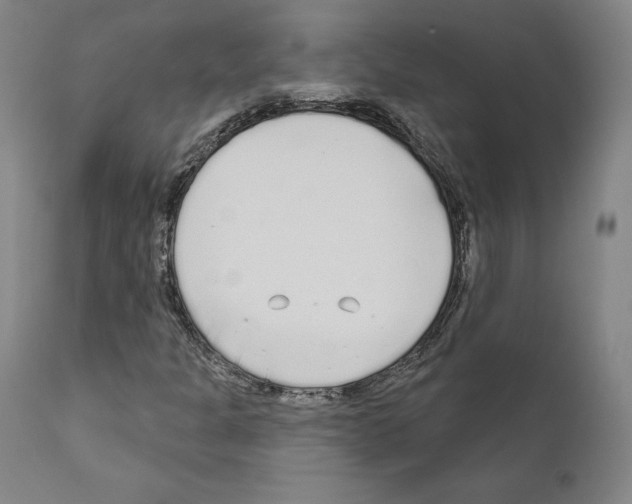 X0000111181301200908121101