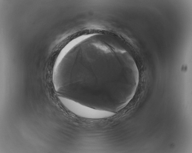 X0000111181303200908121101