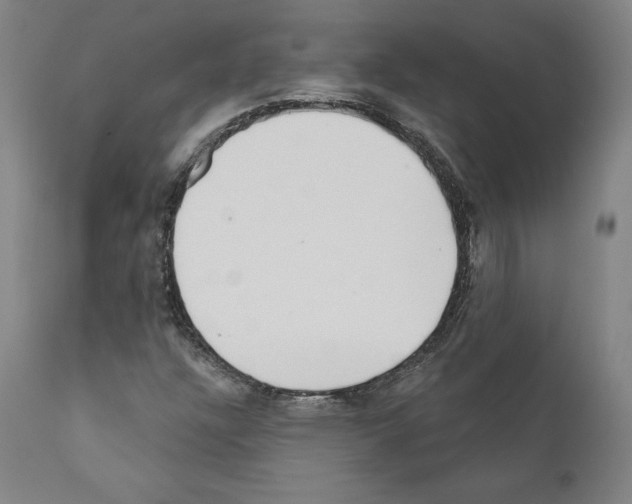 X0000111181304200908121101