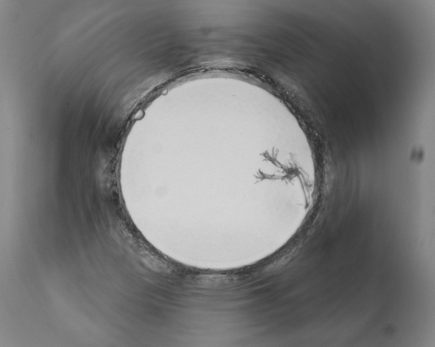 X0000111181305200908121101