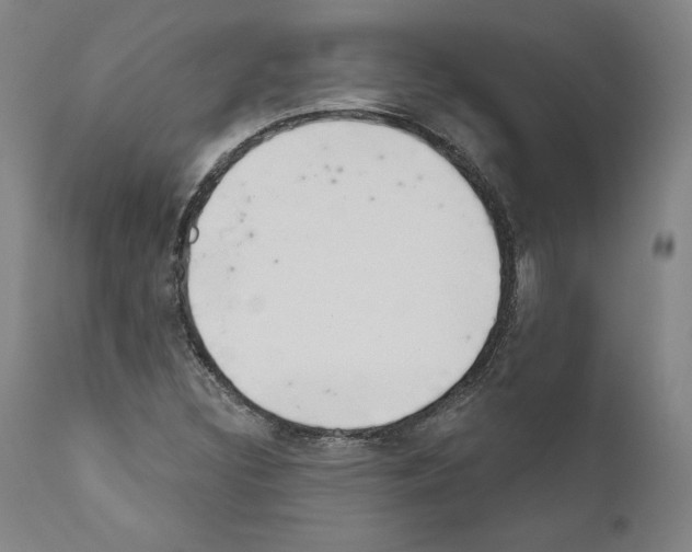 X0000111181308200908121101