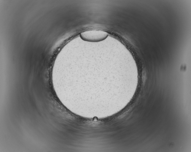 X0000111181309200908121102