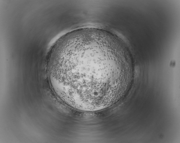 X0000111181310200908121102