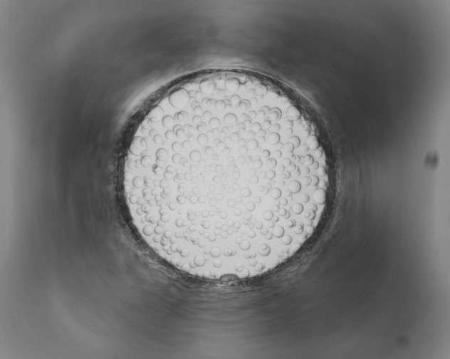 X0000111181311200908121102