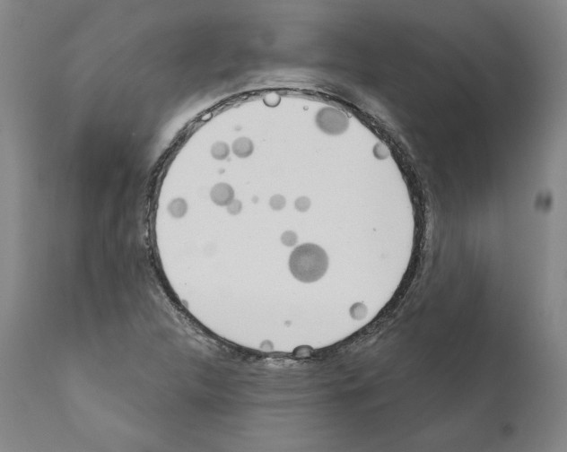 X0000111181312200908121102