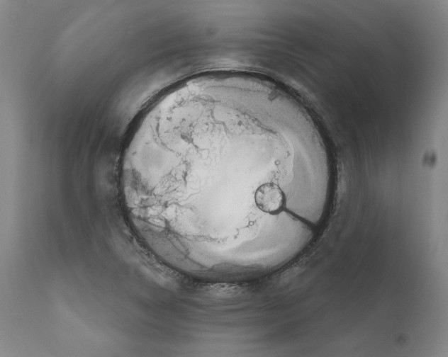 X0000111181314200908121102