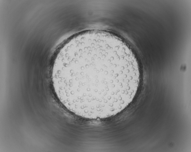 X0000111181315200908121102