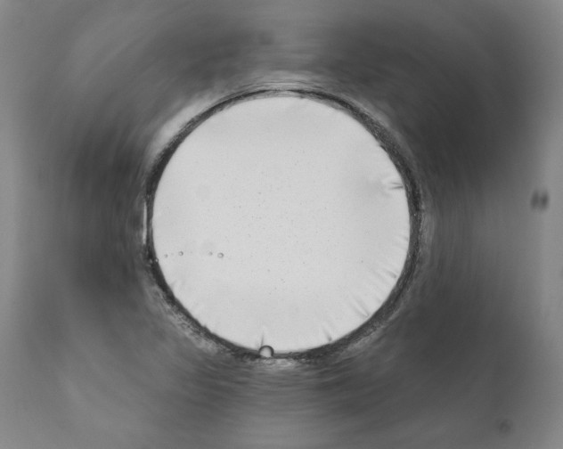 X0000111181317200908121102