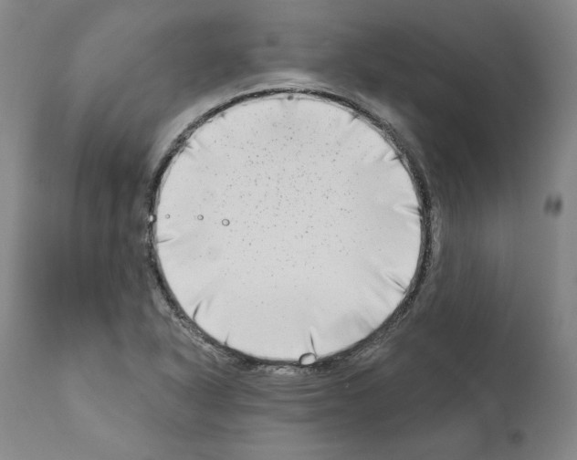 X0000111181318200908121102