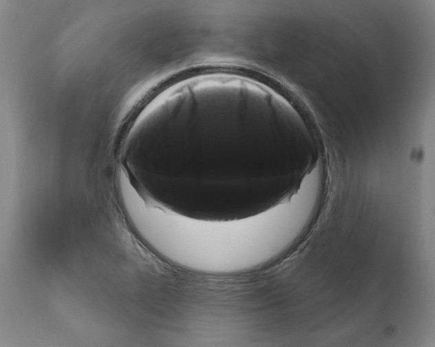 X0000111181319200908121102