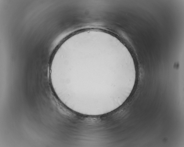 X0000111181320200908121102