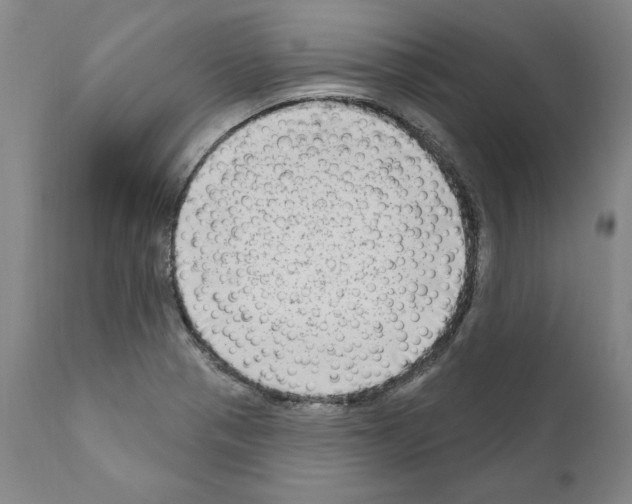 X0000111181321200908121102