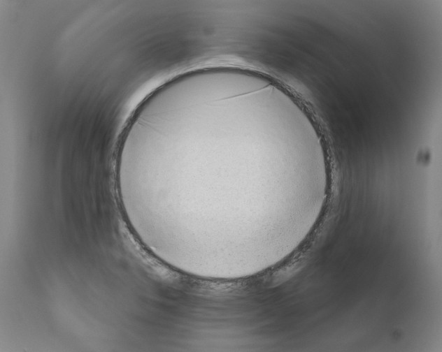 X0000111181326200908121102