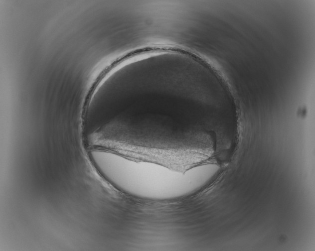 X0000111181327200908121102