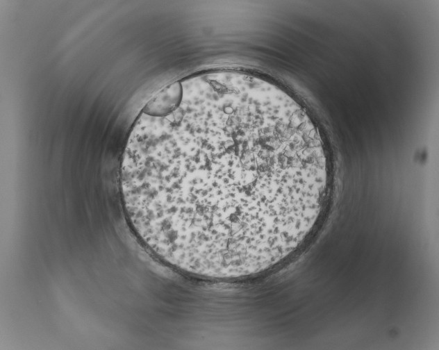 X0000111181329200908121102