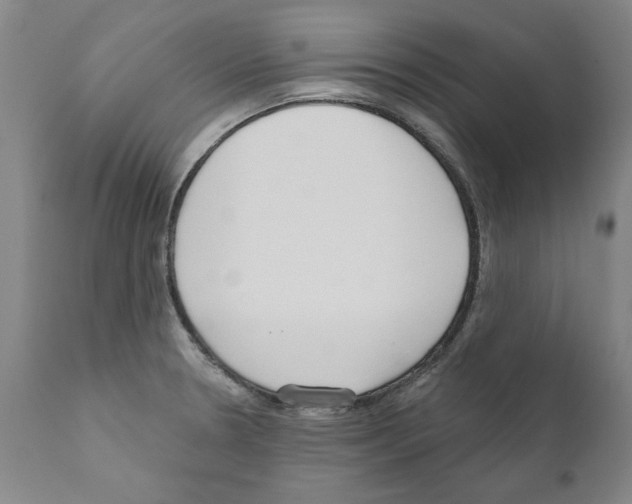 X0000111181330200908121102