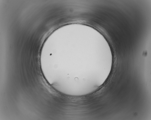 X0000111181332200908121102