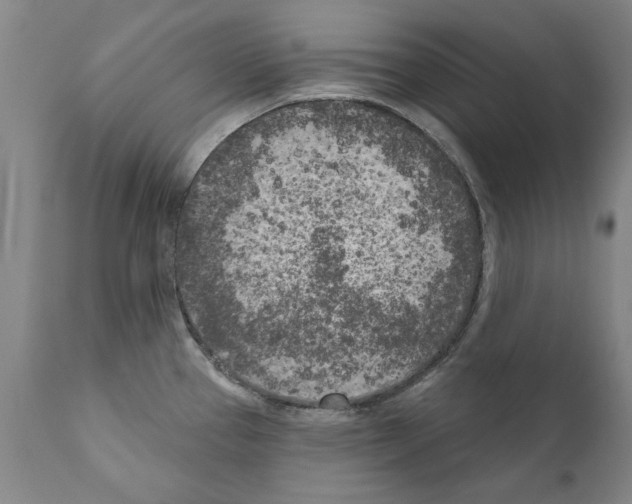 X0000111181337200908121102