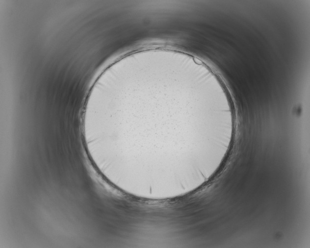 X0000111181341200908121102