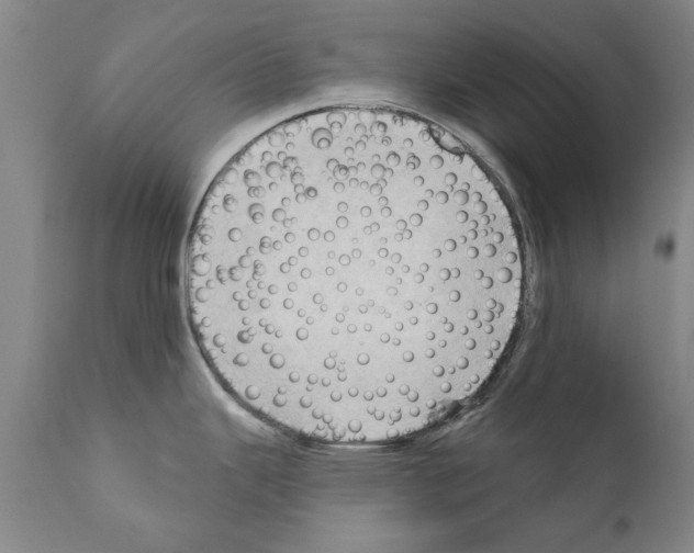 X0000111181343200908121102