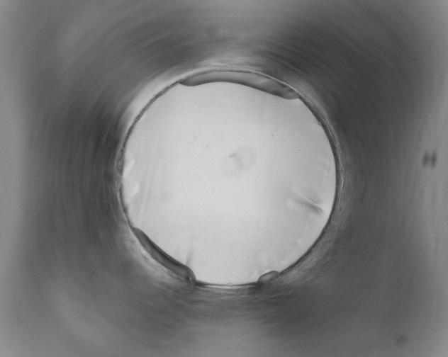 X0000111181344200908121102