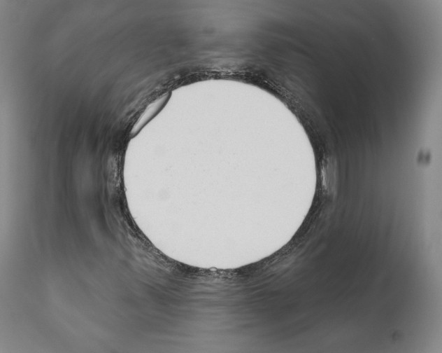 X0000111181347200908121101