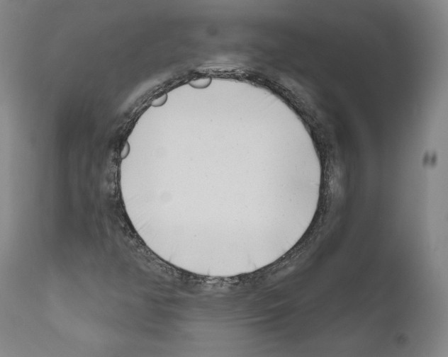 X0000111181350200908121101