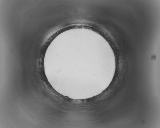 X0000111181352200908121101