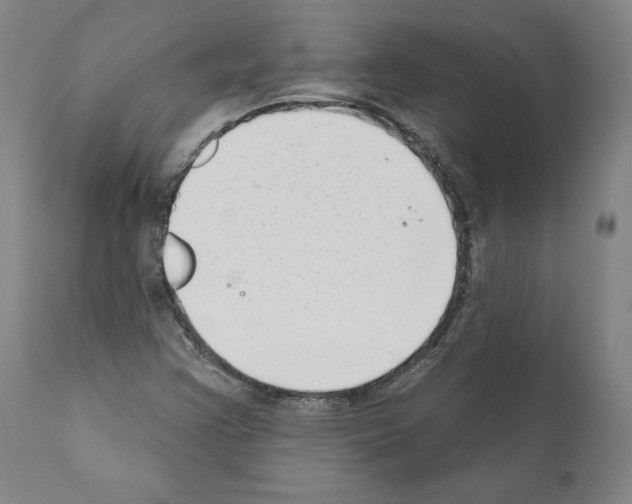 X0000111181355200908121101