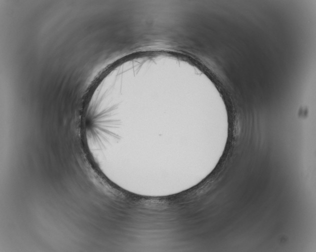 X0000111181356200908121101