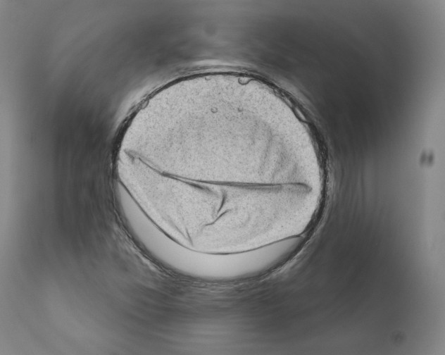 X0000111181357200908121101