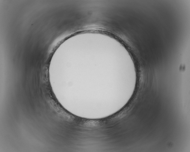 X0000111181358200908121101