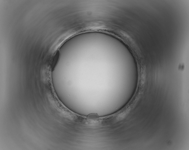 X0000111181361200908121101