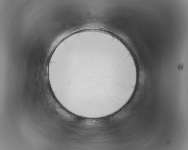 X0000111181366200908121101