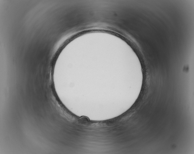 X0000111181368200908121101