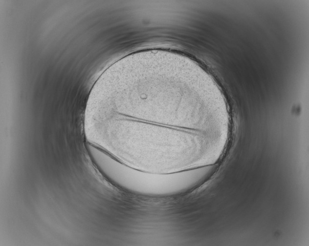 X0000111181369200908121101