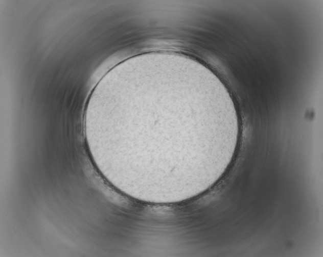 X0000111181370200908121101